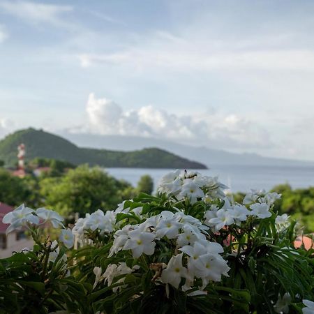 Bungalow Anse Figuier Terre-De-Haut Luaran gambar