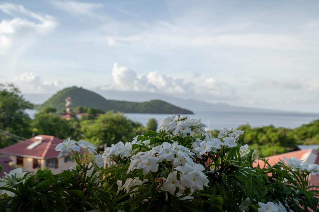 Bungalow Anse Figuier Terre-De-Haut Luaran gambar