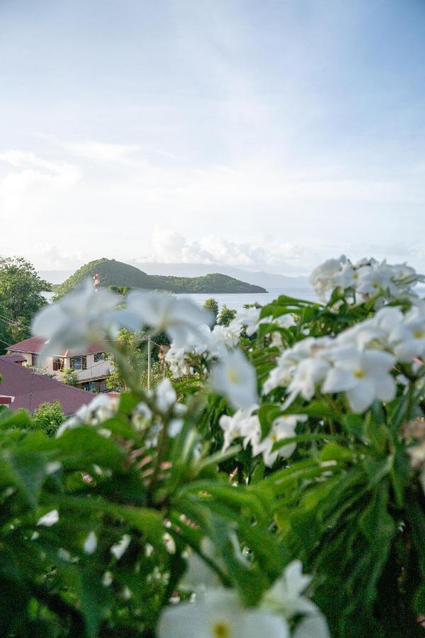 Bungalow Anse Figuier Terre-De-Haut Luaran gambar