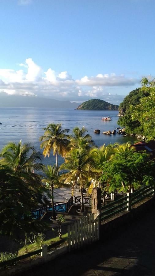 Bungalow Anse Figuier Terre-De-Haut Luaran gambar