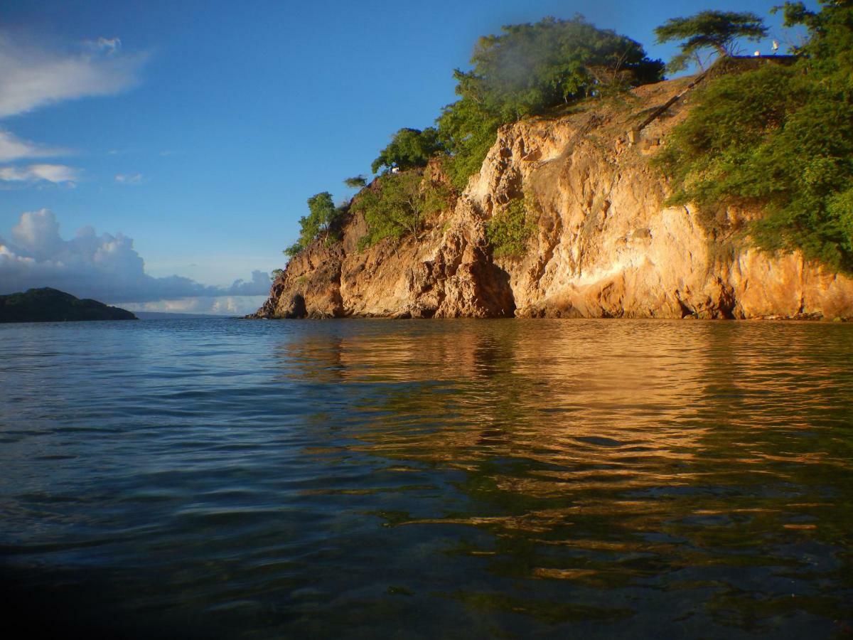 Bungalow Anse Figuier Terre-De-Haut Luaran gambar