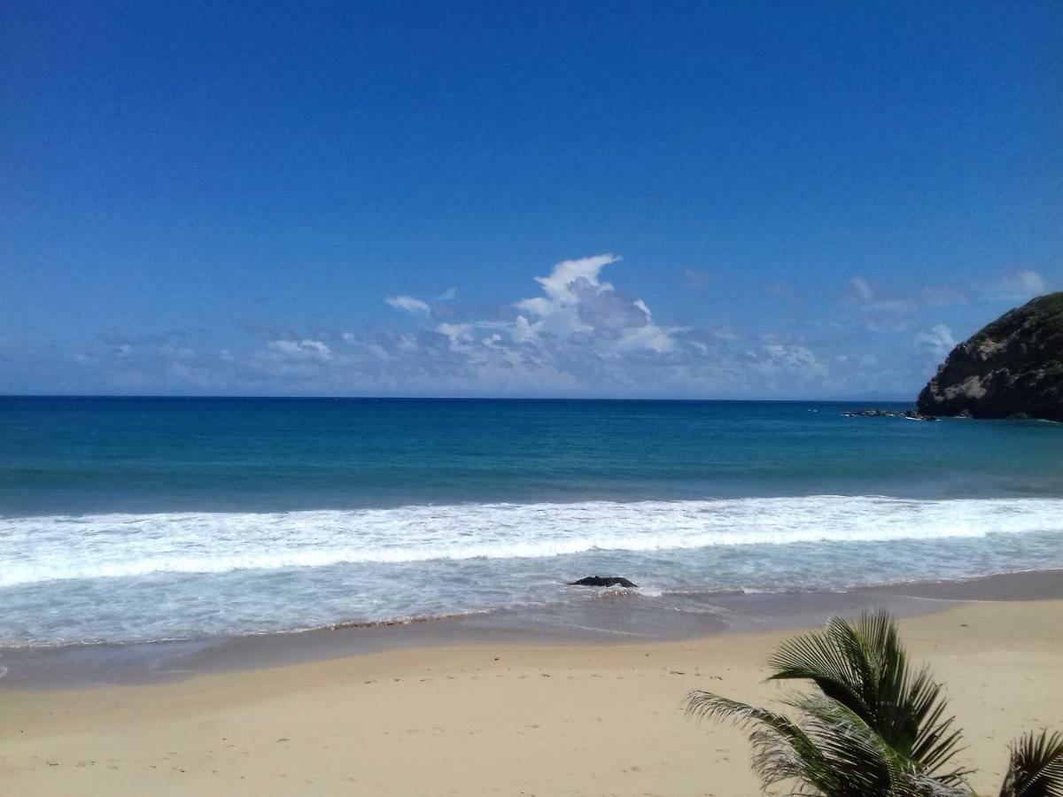 Bungalow Anse Figuier Terre-De-Haut Luaran gambar